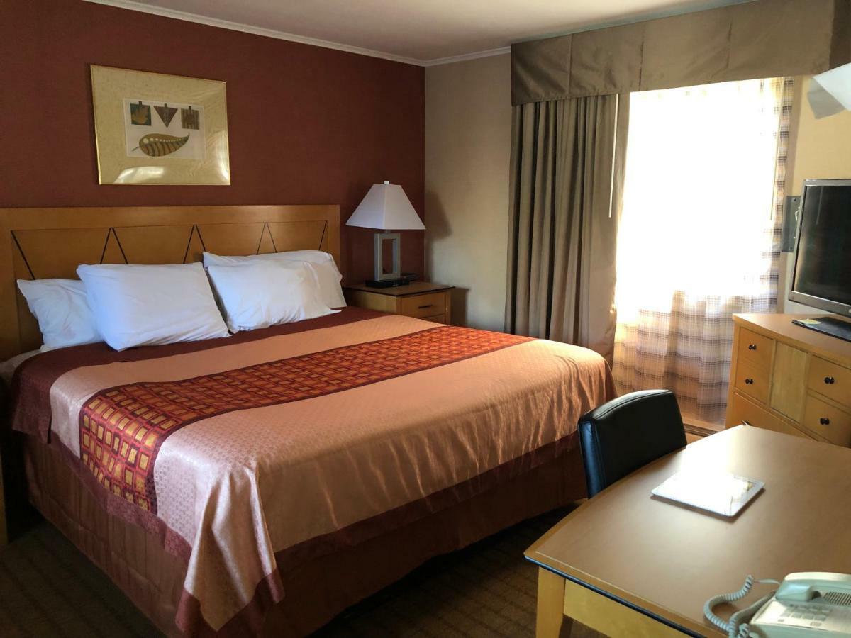 Wilbraham Inn Ludlow Экстерьер фото